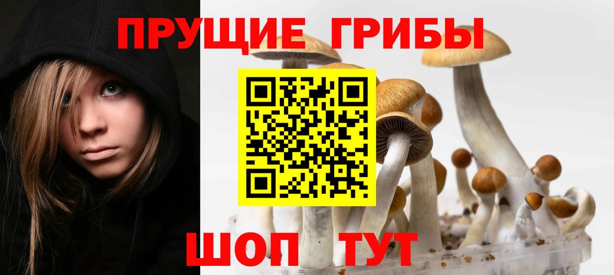 Псилоцибиновые грибы Psilocybine cubensis  Галлюциногенные грибы Cubensis  Костомукша  Вход с VPN 